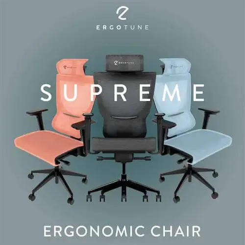ErgoTune Supreme - Ergonomic Chair Singapore 